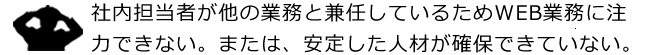 社内担当者が他の業務と兼任しているためWEB業務に注力できない。または、安定した人材が確保できていない。